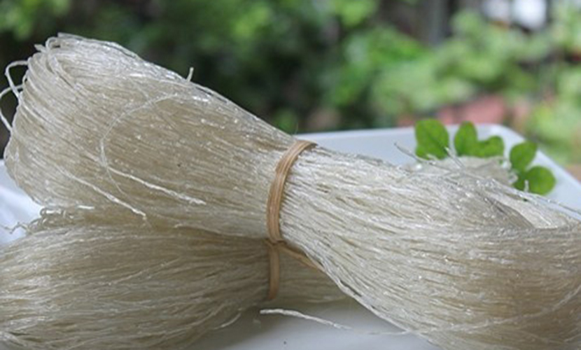 Binh Lieu canna vermicelli