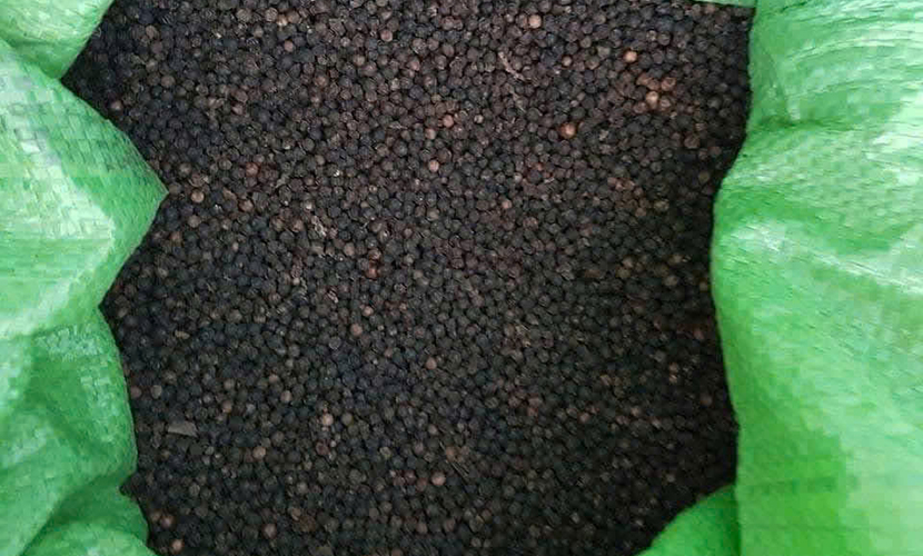 Black pepper from Vietnam