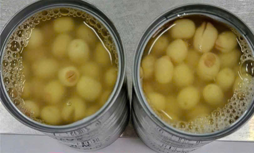 Canned lotus from Vietnam