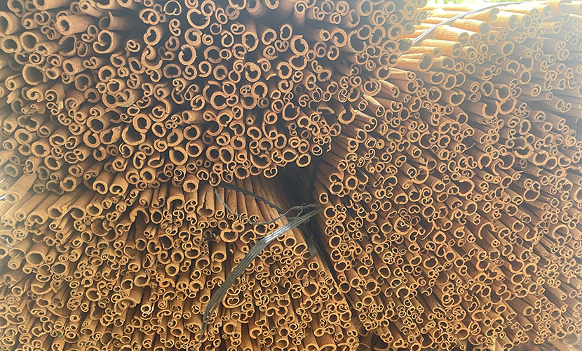 Cinnamon sticks from Vietnam