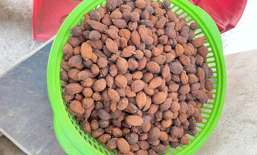 Dried cardamom from Vietnam