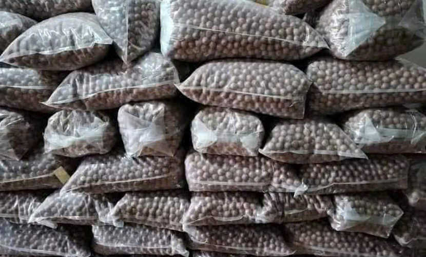 Dried macadamia from Vietnam