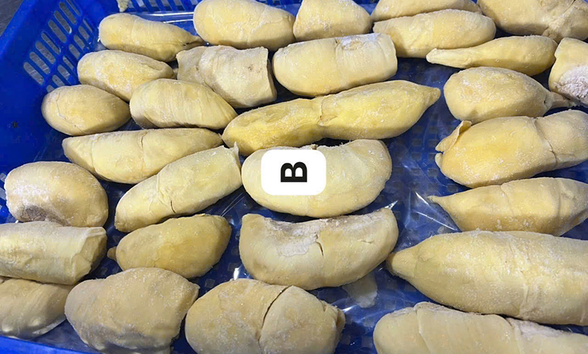 Frozen durian from Vietnam
