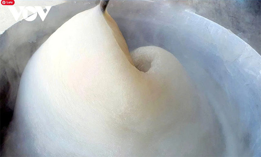 Lai Chau canna starch