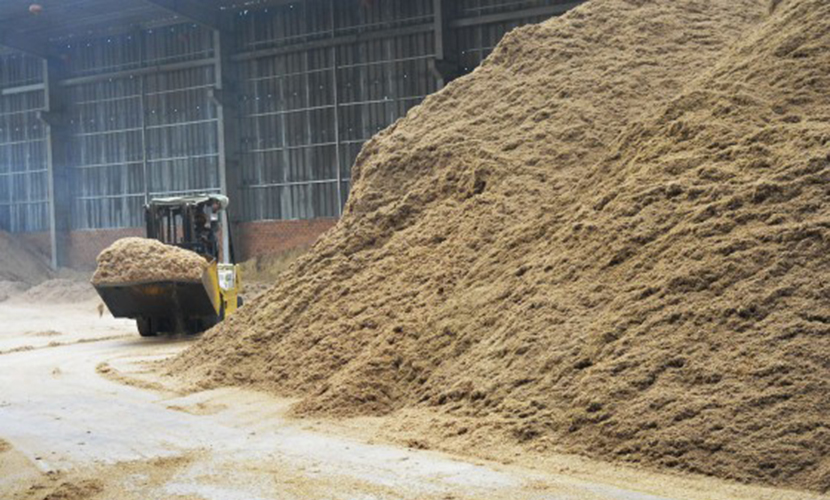 Raw materials for Vietnamese sawdust pellets