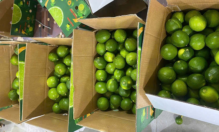 Seedless lemon boxes