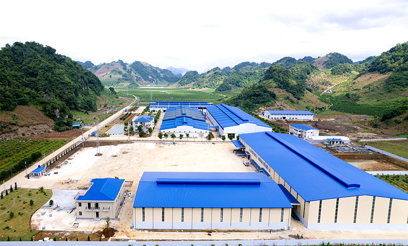 Son La coffee factory