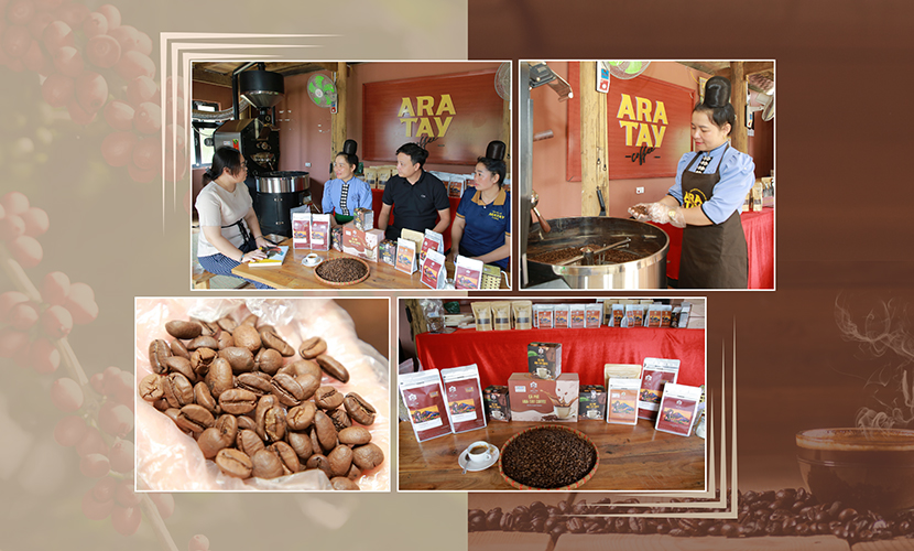 Son La coffee trade fair