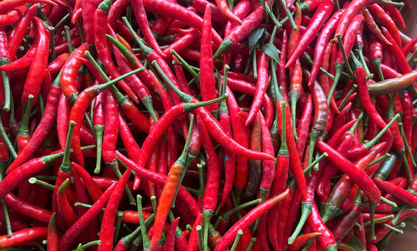 Vietnam's chili for export