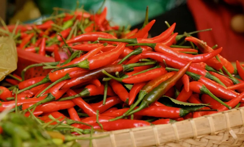 Vietnam's chili pepper