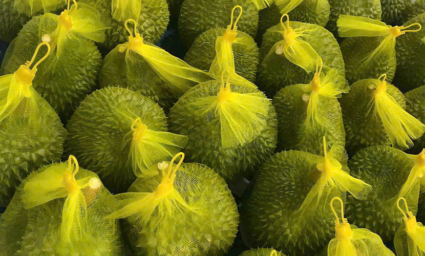 Vietnam's durian exports