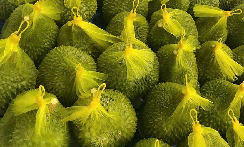 Vietnam's durian