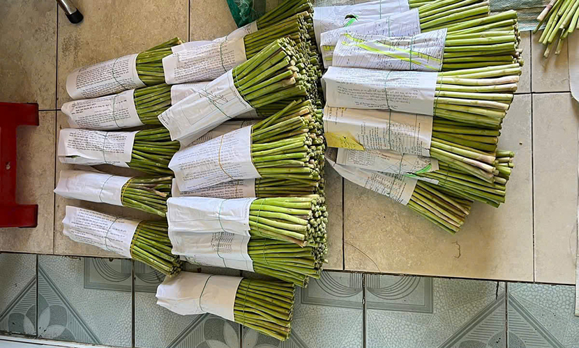 Vietnam' green asparagus