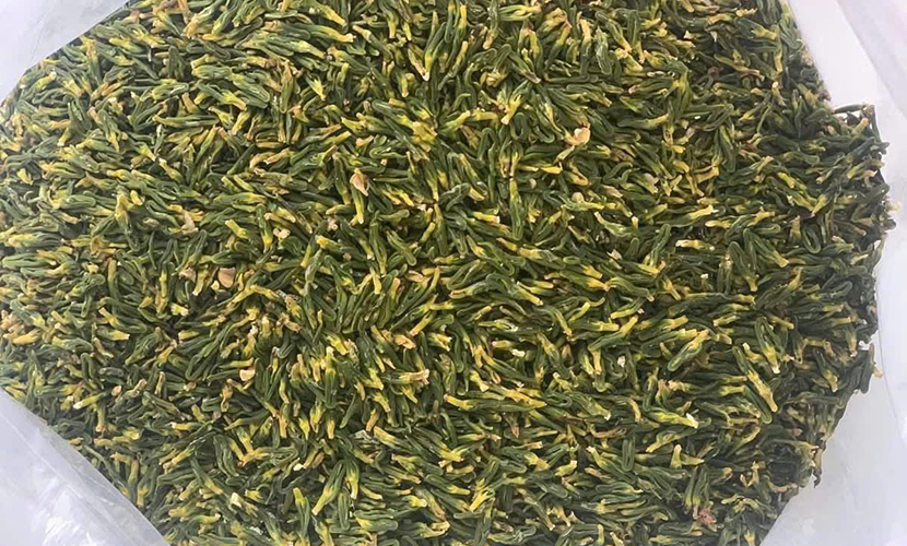 Vietnamese lotus heart