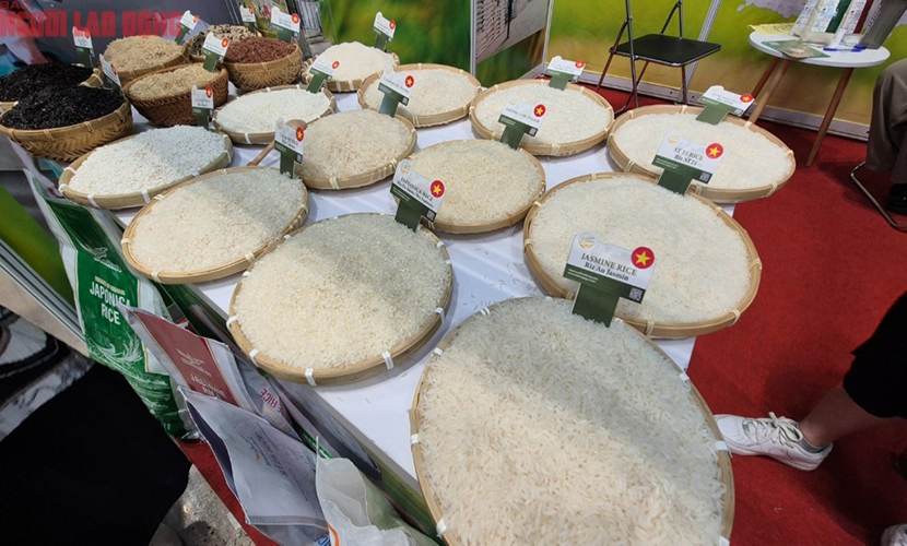 Vietnam's rice