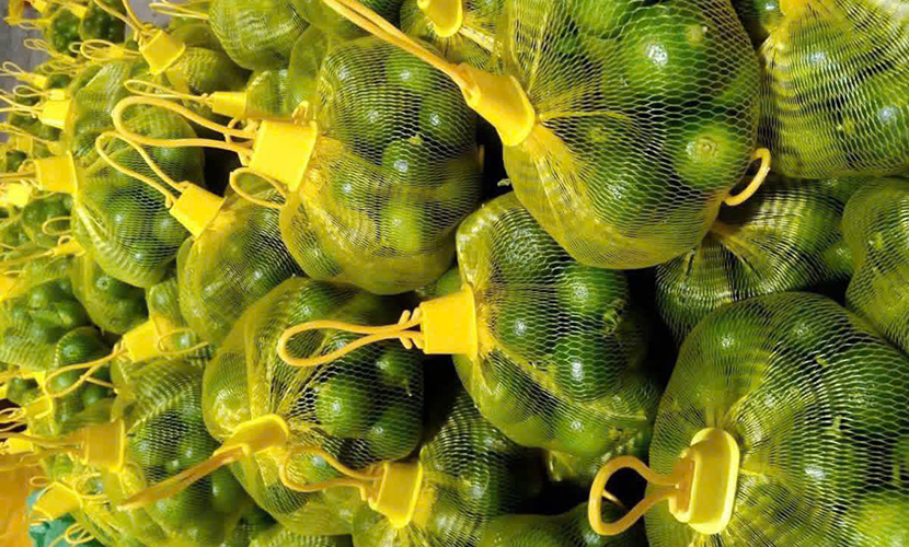 Vietnam's seedless lemons