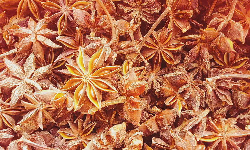 Vietnam's star anise