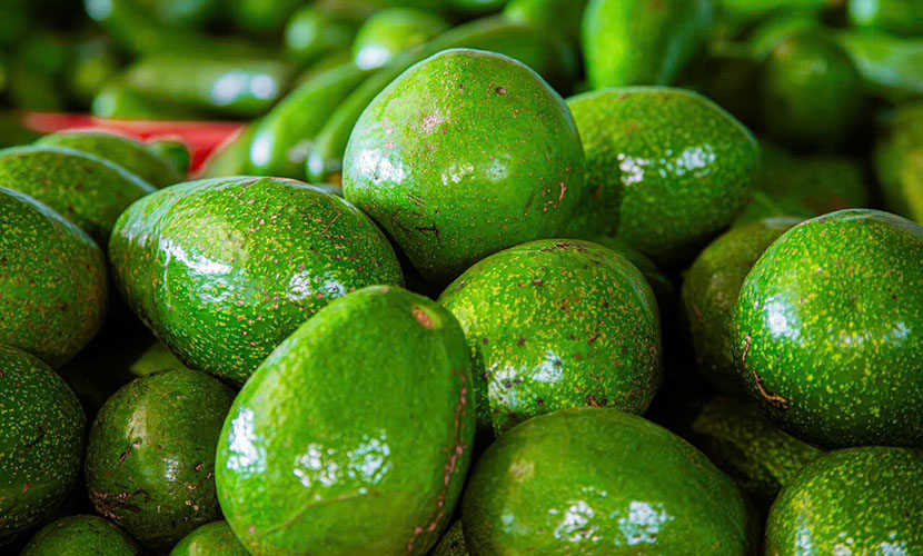 Vietnamese avocado