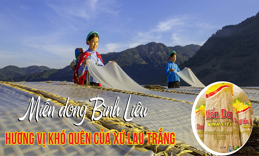 Vietnamese canna vermicelli