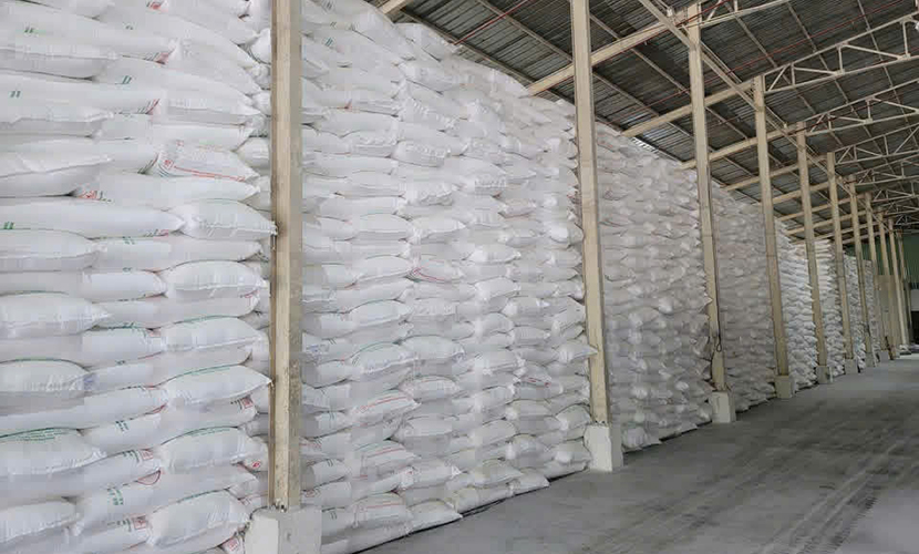 Vietnamese cassava starch factory