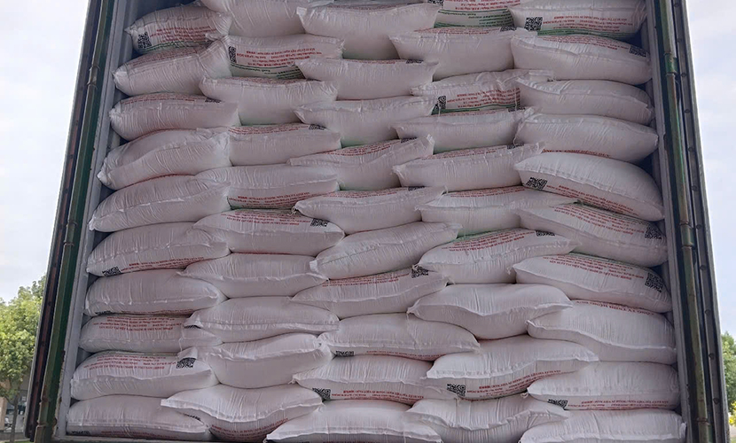 Loading Vietnamese cassava starch