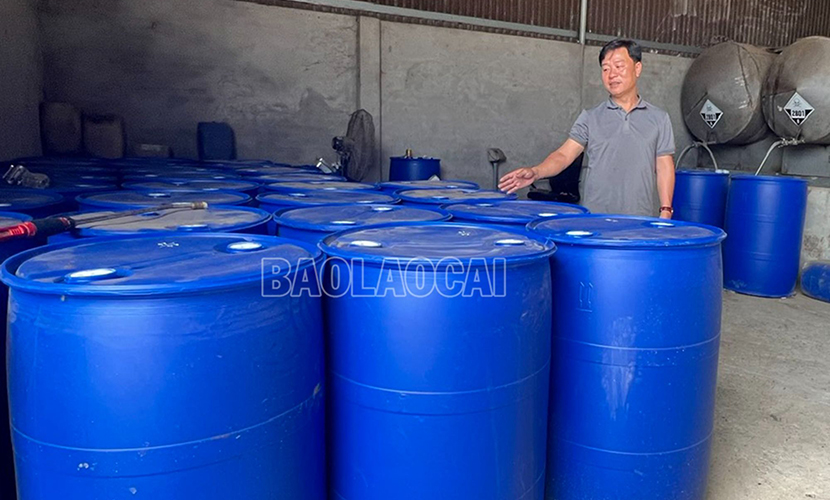 Vietnamese cinnamon essential oil