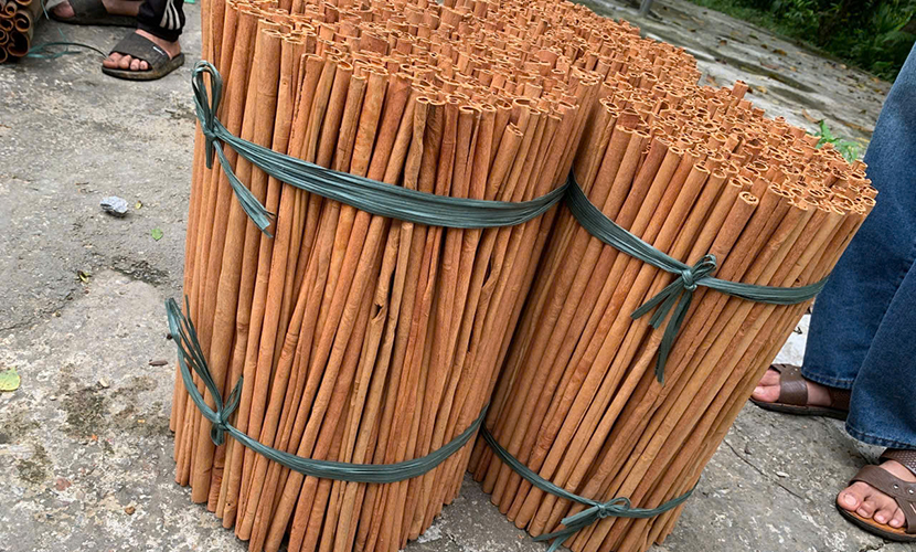 Vietnamese cinnamon sticks