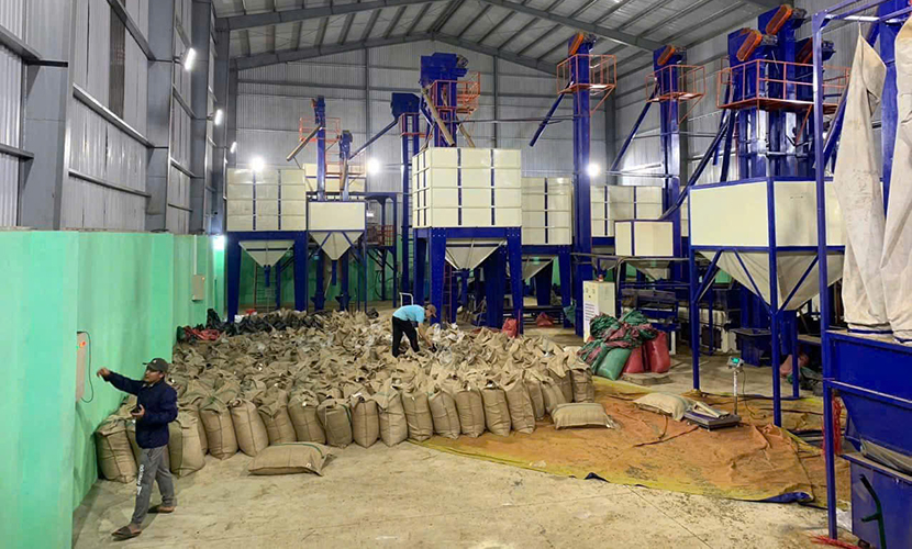 Vietnamese coffee factory