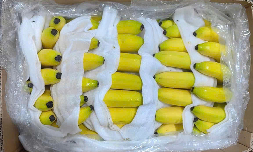 Fresh banana - one of the key fruit exports from Vietnam