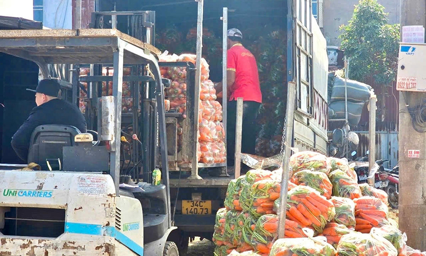 Vietnamese fresh carrots