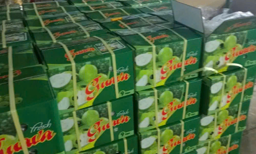 Vietnamese guava boxes