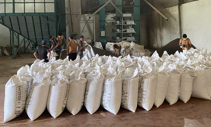 Vietnamese pepper factory