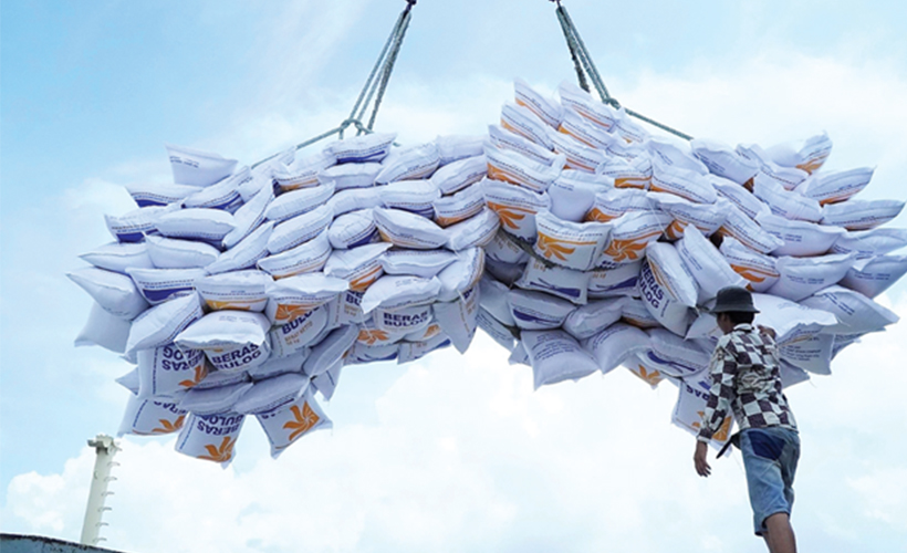 Vietnamese rice exports