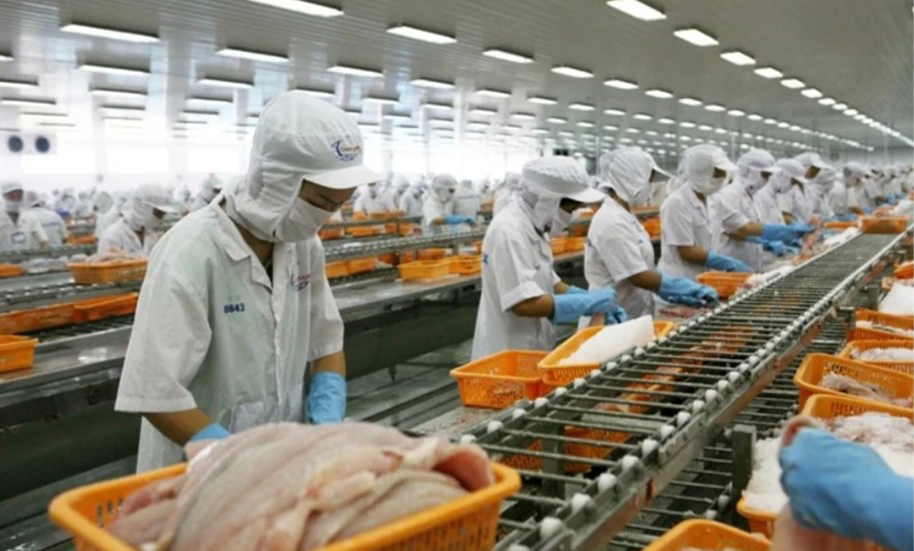 Vietnamese seafood exports