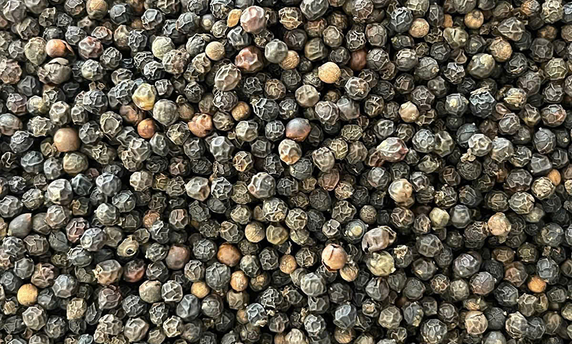 Black pepper from Vietnam