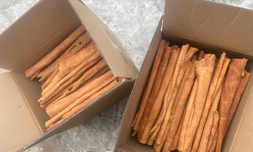 Vietnamese cinnamon
