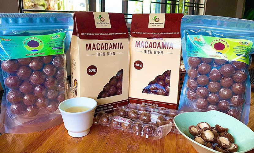 Vietnamese macadamia products