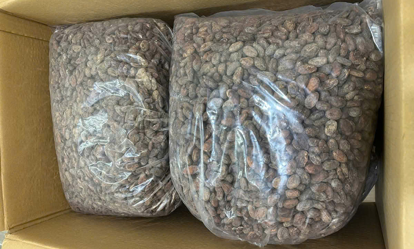 Vietnamese organic cocoa