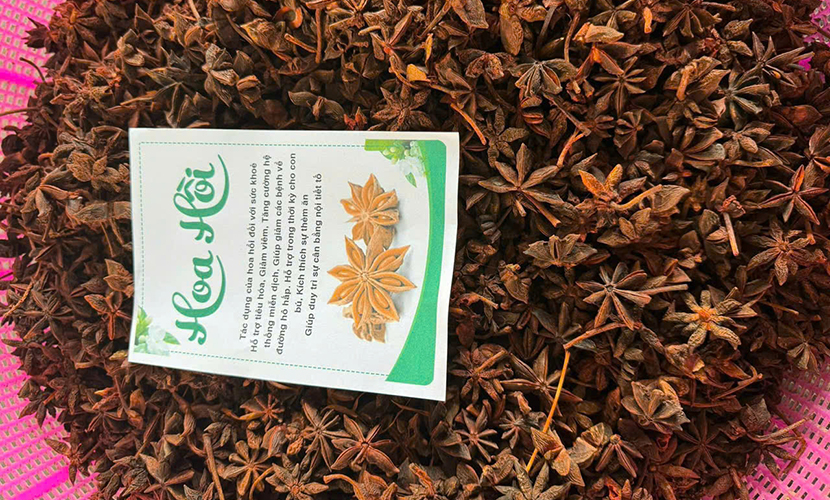 Star anise from Vietnam