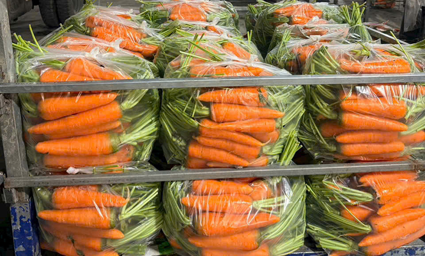 Vietnamese vegetable exports