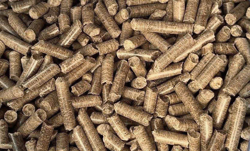Vietnamese wood pellet exports