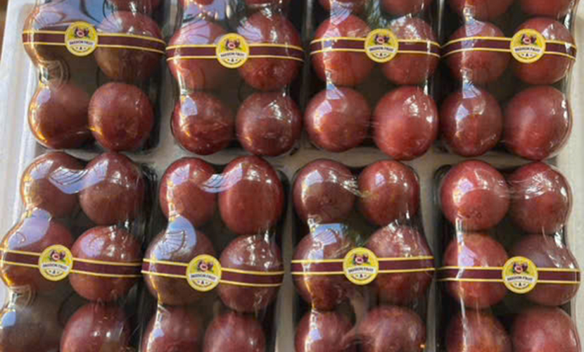 Violet passion fruit from Vietnam