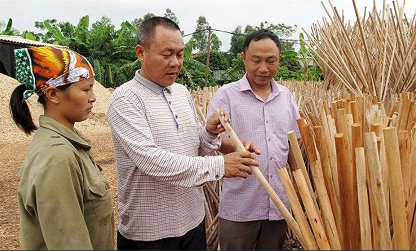 Vietnam's broom handle facility