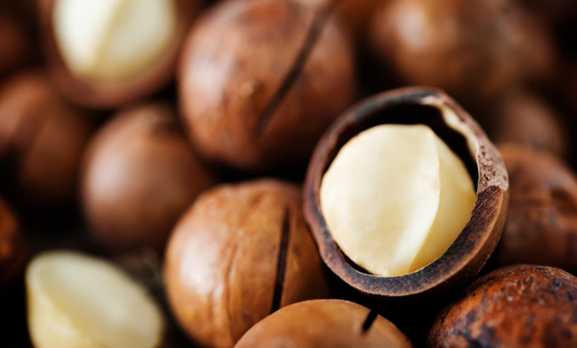 Vietnamese macadamia products