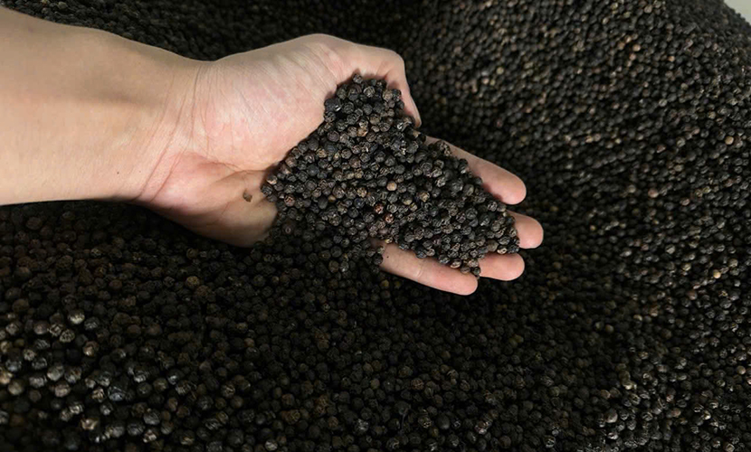 Black pepper from Vietnam