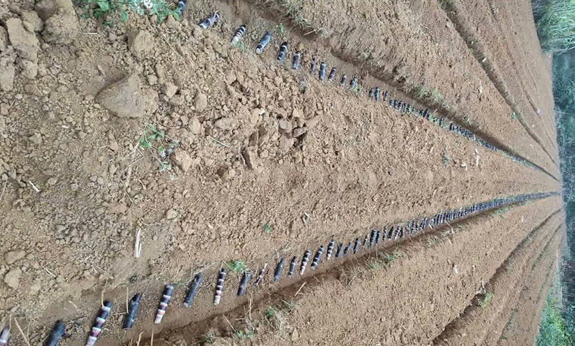 Preparation for Vietnamese sugarcane plantation