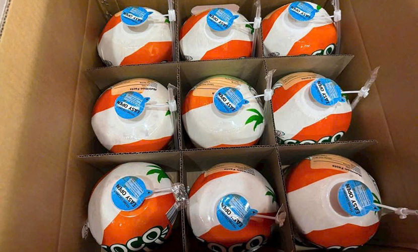 Vietnam's coconut industry