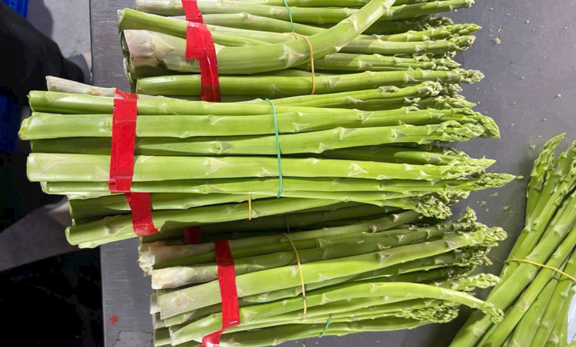 Vietnamese asparagus: L1 grade