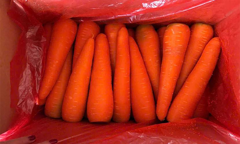 Vietnamese carrot exports