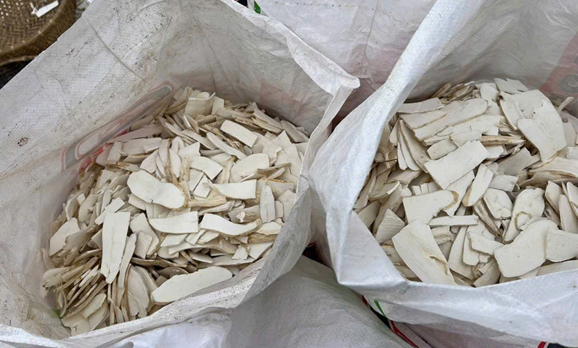 Vietnamese cassava exports